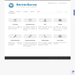 ServerGurus  website