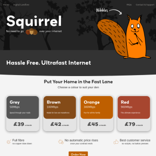  Squirrel Internet  aka (Squirrel)  website