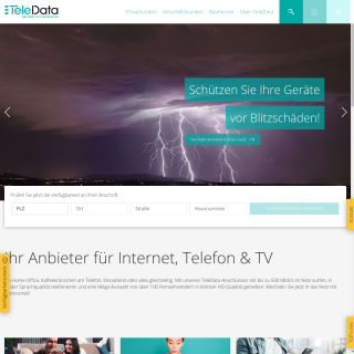 TeleData  website