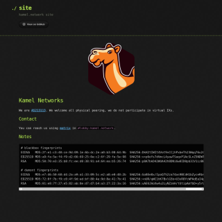 Kamel Networks  website