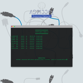  trivisonno.dev network  website