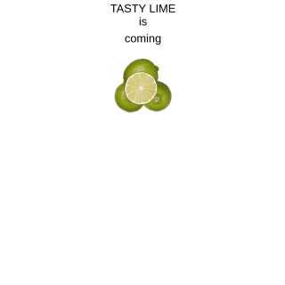  Tasty Lime  website