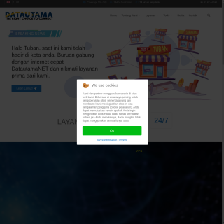 DataUtama Dinamika, PT  website