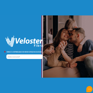  Veloster Internet  website