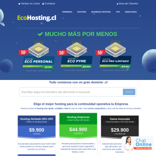  ECOHOSTING INTERNET  aka (Eco Hosting)  website