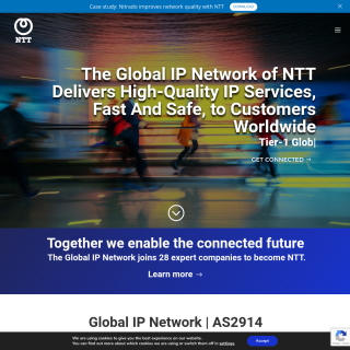 NTT Global IP Network  website
