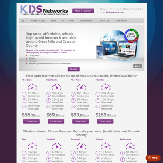  Konceptio Data Services  website