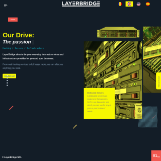  LayerBridge  website