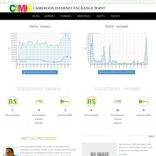  CAMIX Services  website