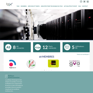  TGIX Management  website