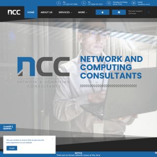 Network & Computing Consultants  website