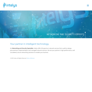  Intelys Technology Africa  website