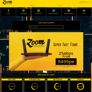 Zoom Networks website