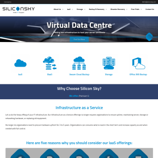  Silicon Sky Consulting  website