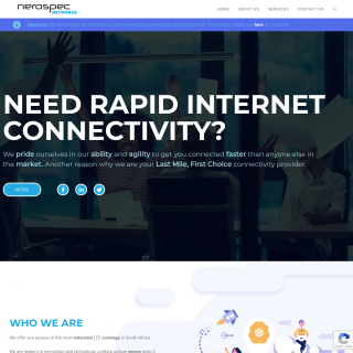  Nerospec Networks  website