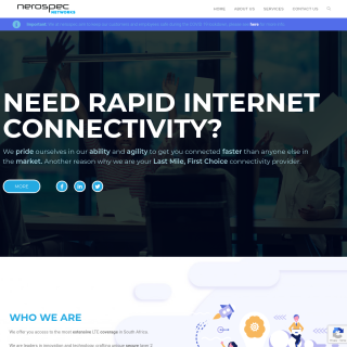 Nerospec Networks  website