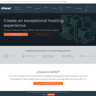  cPanel  website