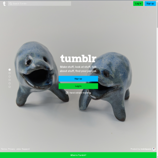  Tumblr  website