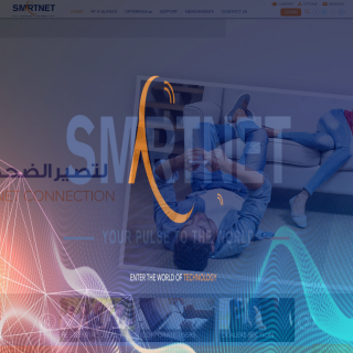 Smart Networks  website