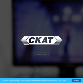SKAT TV  website