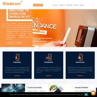 Etisalcom  website