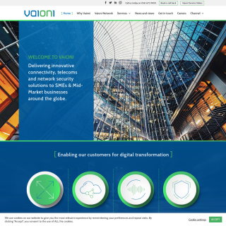  Vaioni  website