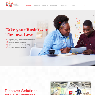 Broadband Systems Corporation  website