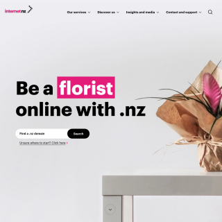  Internet NZ Office  website