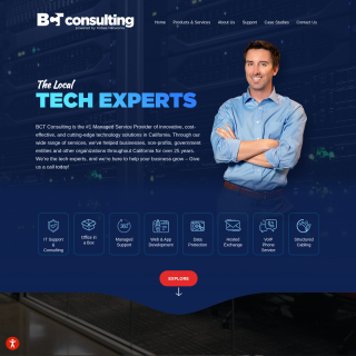  BCT Consulting  website