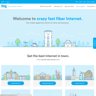  Ting Fiber SJC  website