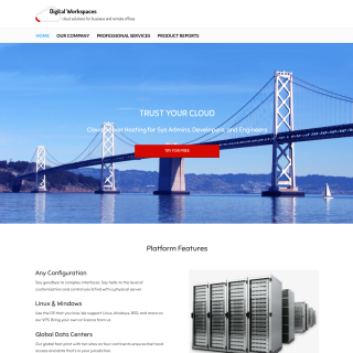 Digital Workspaces website