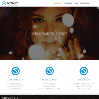 ICYNET website