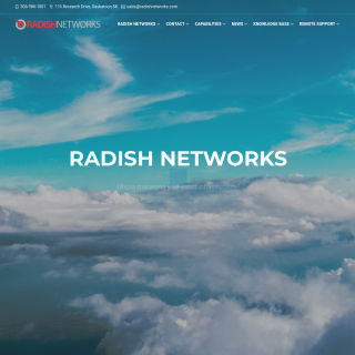 RADISHNETWORKS-NET-01  website