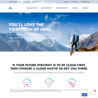  TSS-Inactive  website