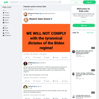  Gab AI Inc  website