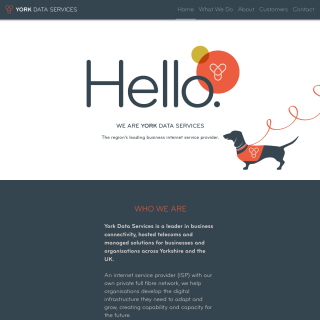  York Data Services  website