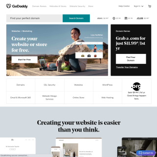 GODADDY-DNS aka (GoDaddy) website