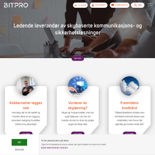 BITPRO  website