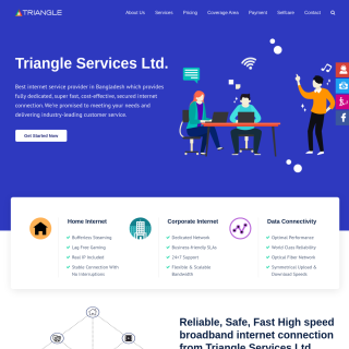 Triangle Services Limited  website