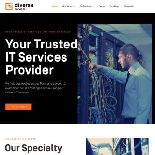 Diverse Services  aka (Diverse)  website