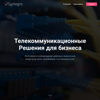  Syntegra Telecom  aka (Syntegra)  website