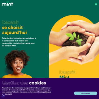  Budget Telecom  website