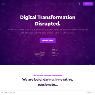 ANS Group aka (ANS) website