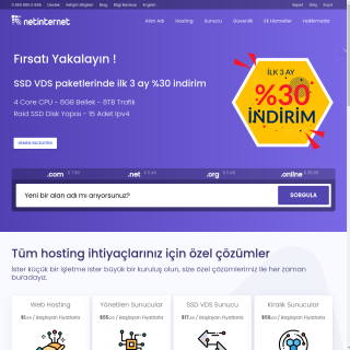 Netinternet  website