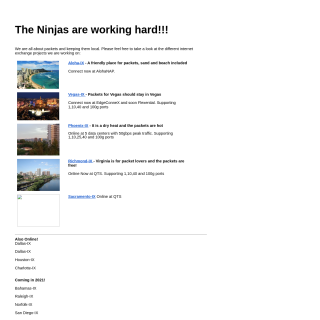 Ninja-IX Corporation  website