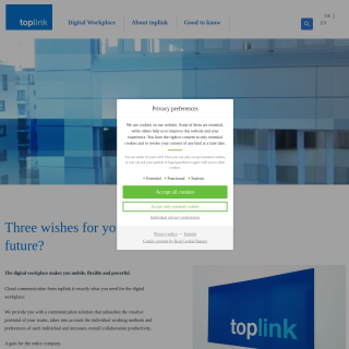 toplink GmbH  website