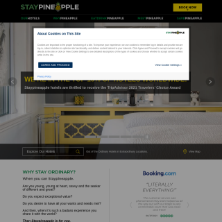  Pineapple Hospitality Company  aka (Staypineapple Hotels)  website