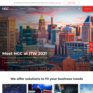  HGC Global Commnications Limited  website