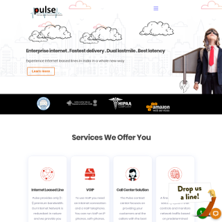  Pulse Telesystems  aka (Pulse Telesystems Pvt Ltd)  website