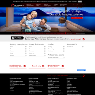 IT Systematic Group  website